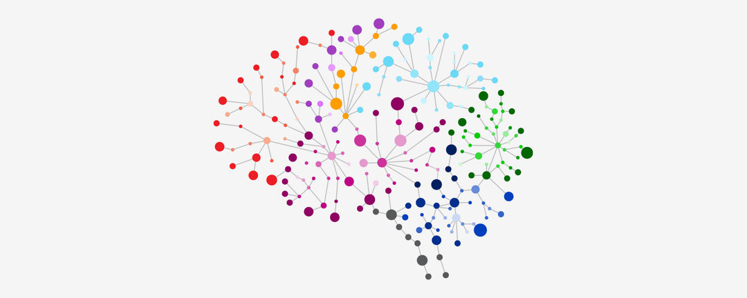 gut-brain axis
