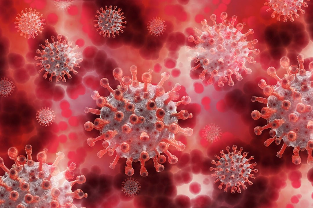 covid-19 and probiotics
